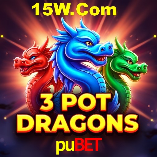 Security Systems pubet