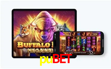pubet São Paulo - Jogo Providers