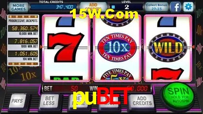 pubet Salvador - Support