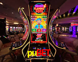 Tennis Betting pubet