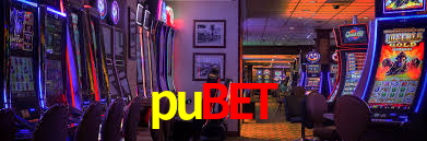 pubet App Interface