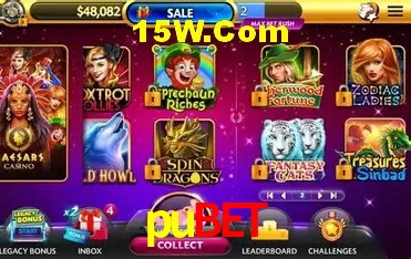 pubet - Login Methods