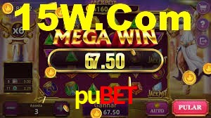 Descubra o Mundo do Cassino Online com pubet